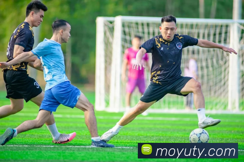 摩域体育官网平台生态图